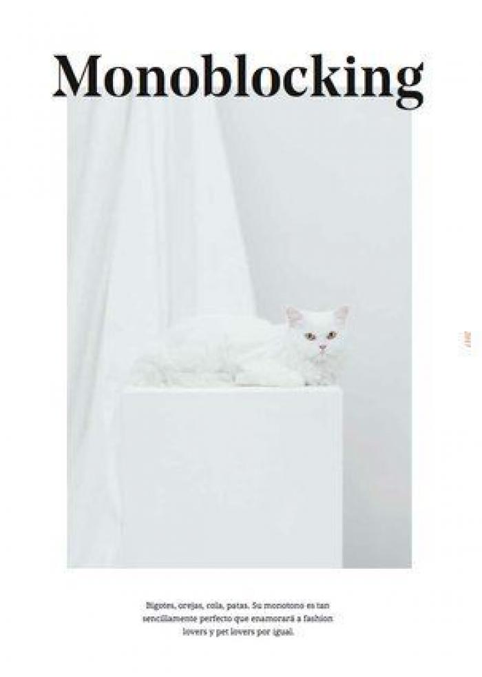 Este original catálogo de moda busca concienciar sobre el abandono de animales