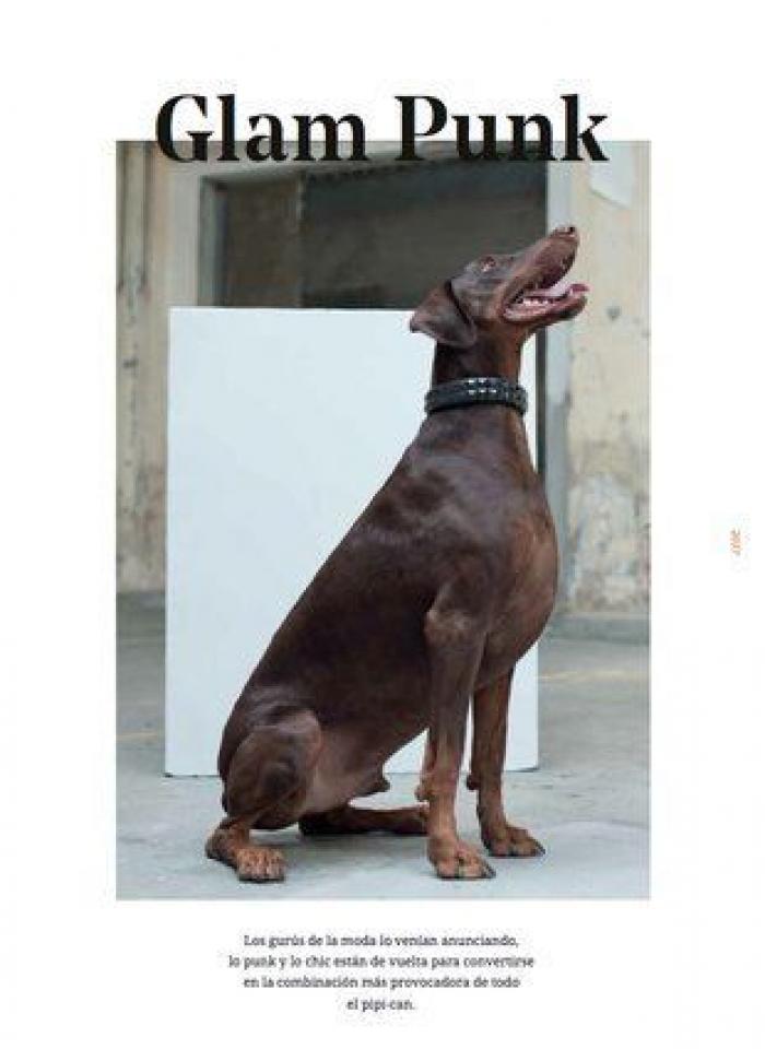 Este original catálogo de moda busca concienciar sobre el abandono de animales