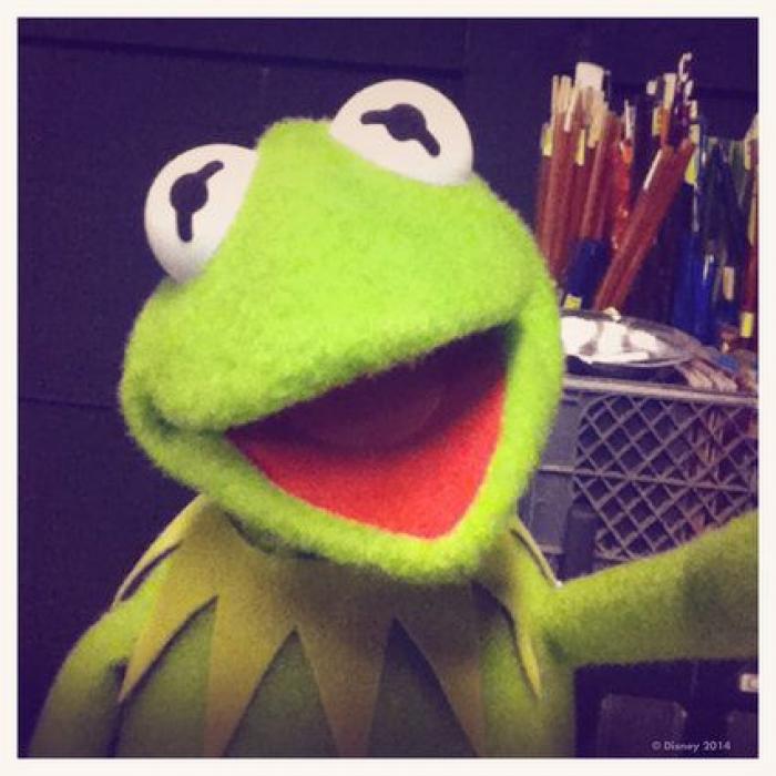 'Selfi', palabra del año 2014 para la Fundeu