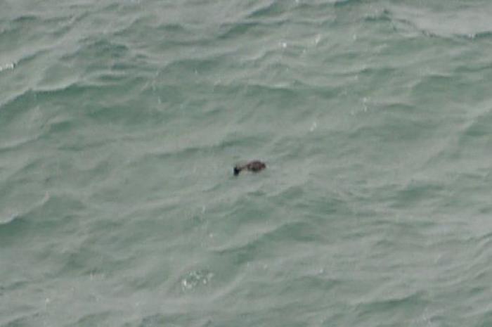 Las autoridades de Indonesia confirman que varios objetos encontrados en el mar son del avión siniestrado