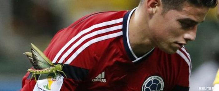 Lo que ha pasado este 2014 (y que casi se te había olvidado)