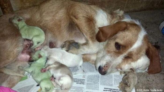 Lo que ha pasado este 2014 (y que casi se te había olvidado)