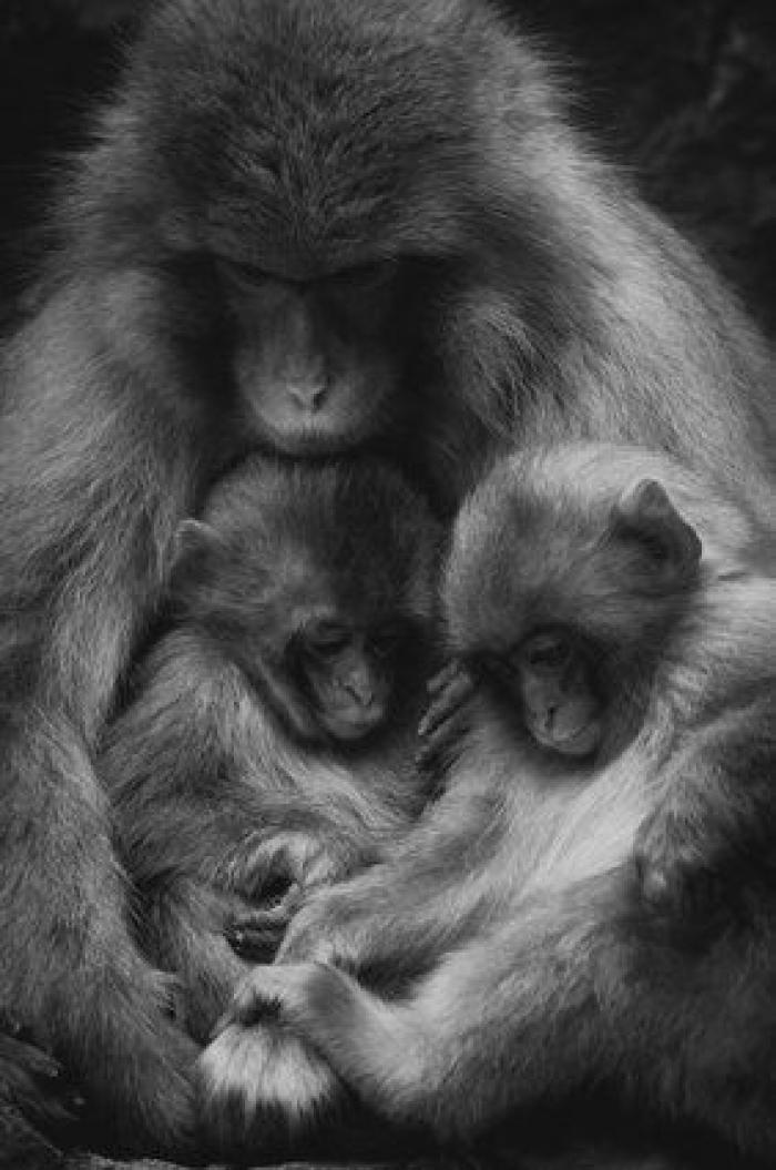 15 imágenes maravillosas del concurso de fotografía de Sony