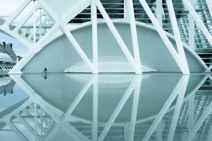 15 imágenes maravillosas del concurso de fotografía de Sony