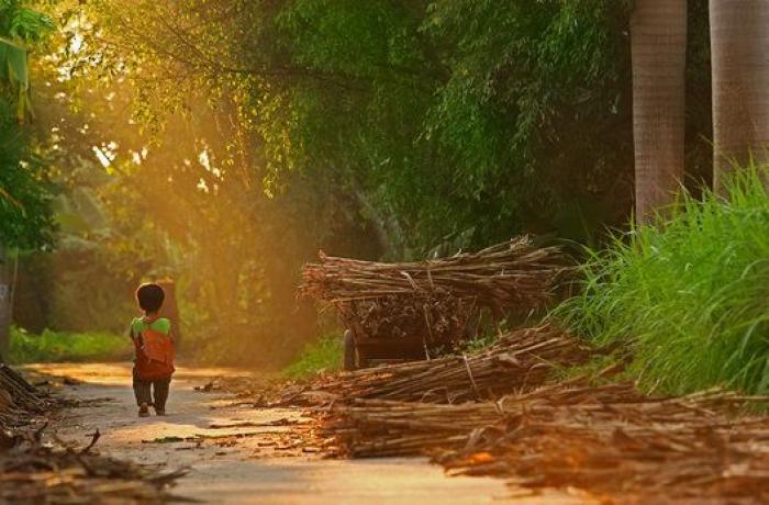 15 imágenes maravillosas del concurso de fotografía de Sony