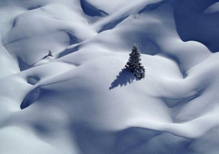 15 imágenes maravillosas del concurso de fotografía de Sony