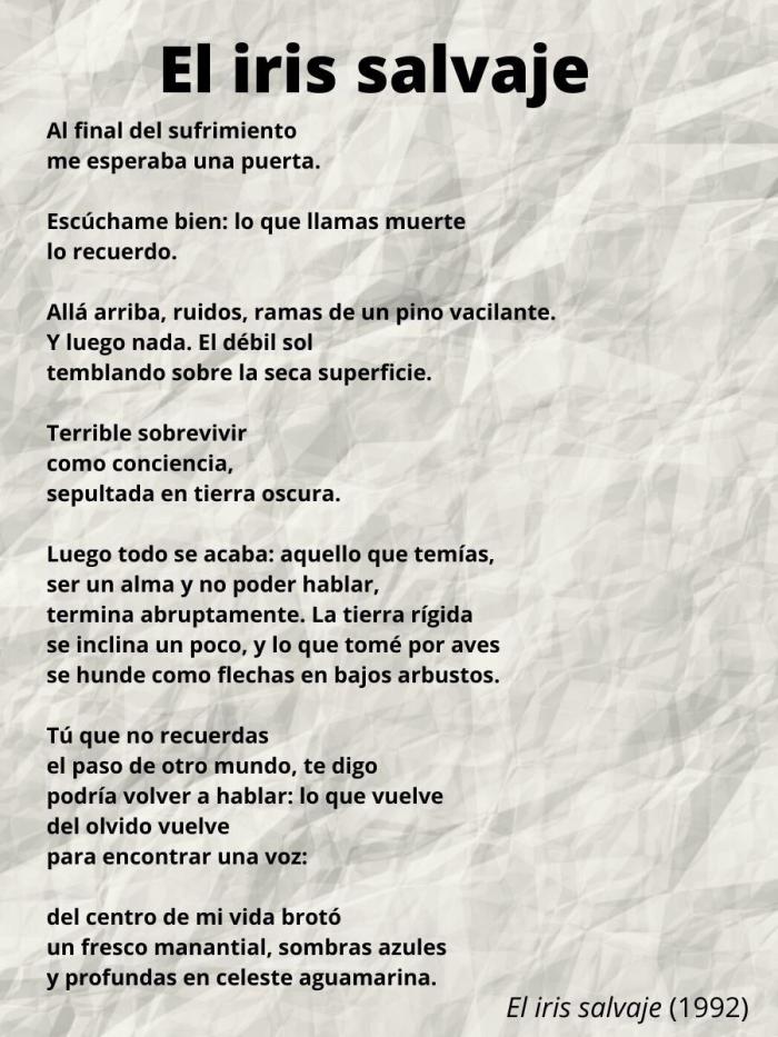 Ocho poemas para acercarse a Louise Glück, Premio Nobel de Literatura 2020