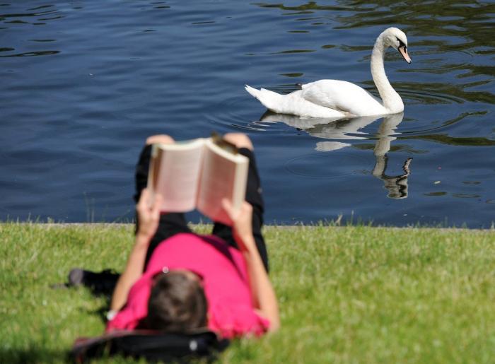 Los bares y restaurantes en España ya deben ofrecer agua del grifo gratis