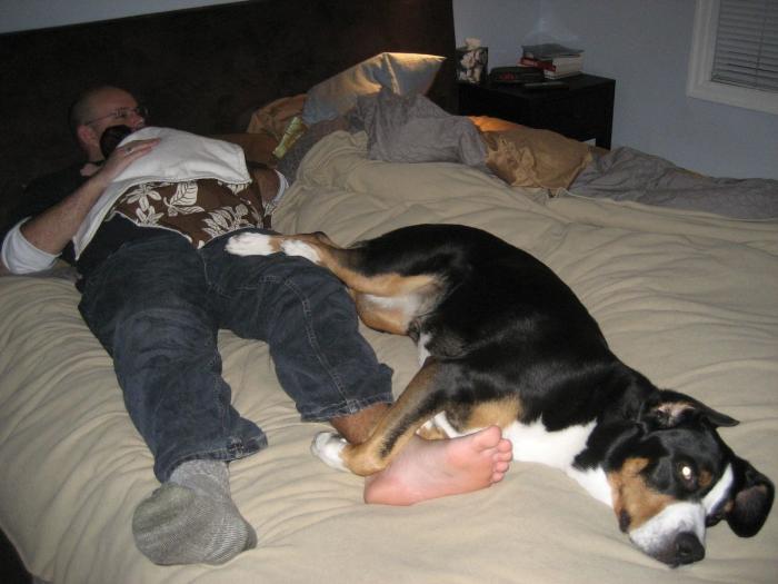 Cómo lograr dormir a tu bebé sin llantos