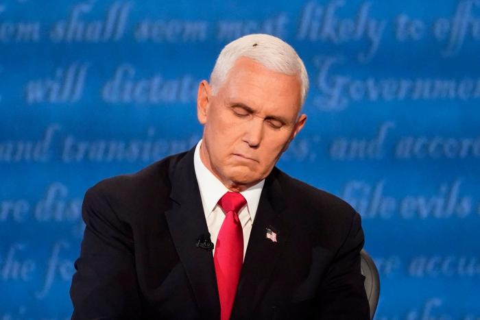 Una mosca en el pelo de Pence, la auténtica protagonista del debate vicepresidencial