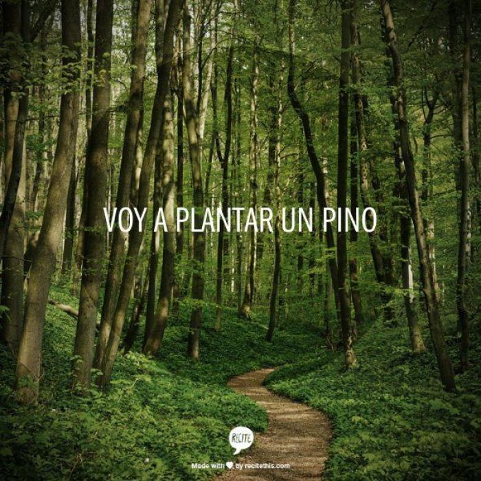 En serio: ¿Por qué nos cuesta tanto ir al baño en el trabajo?