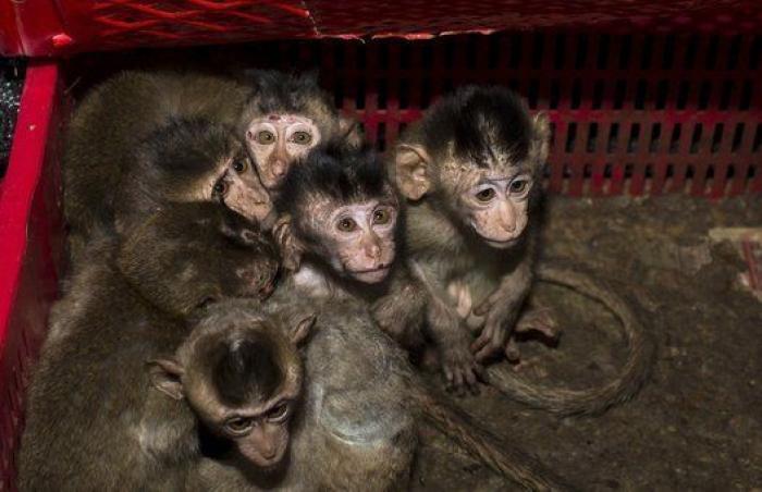 Todos somos Charlie y otras 23 imágenes de esta semana que no te puedes perder