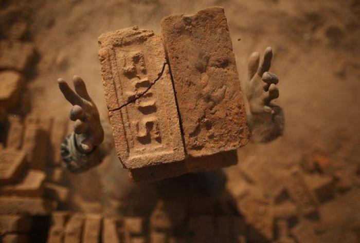 La mirada de la mariposa y otras 18 fotos del día que no te puedes perder