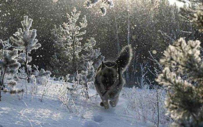 La mirada de la mariposa y otras 18 fotos del día que no te puedes perder