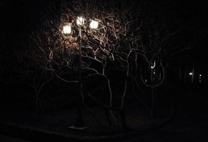 La mirada de la mariposa y otras 18 fotos del día que no te puedes perder