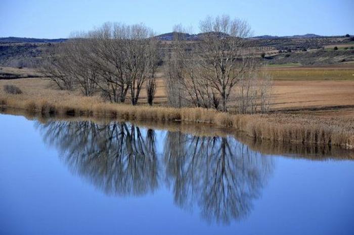 La mirada de la mariposa y otras 18 fotos del día que no te puedes perder