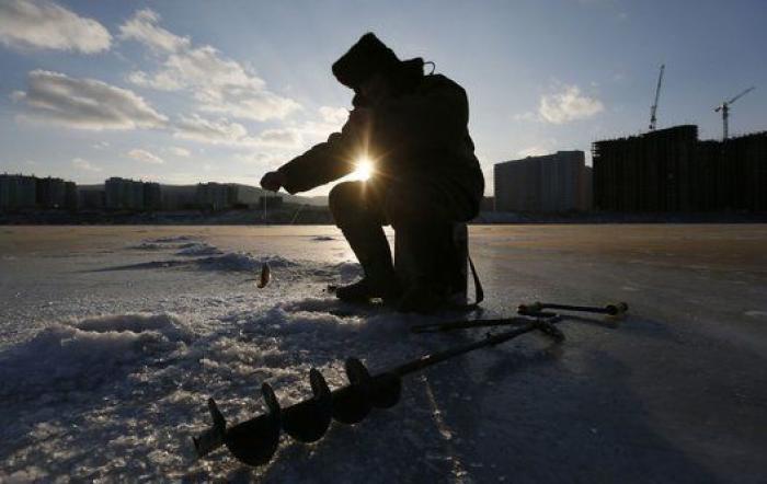 La mirada de la mariposa y otras 18 fotos del día que no te puedes perder