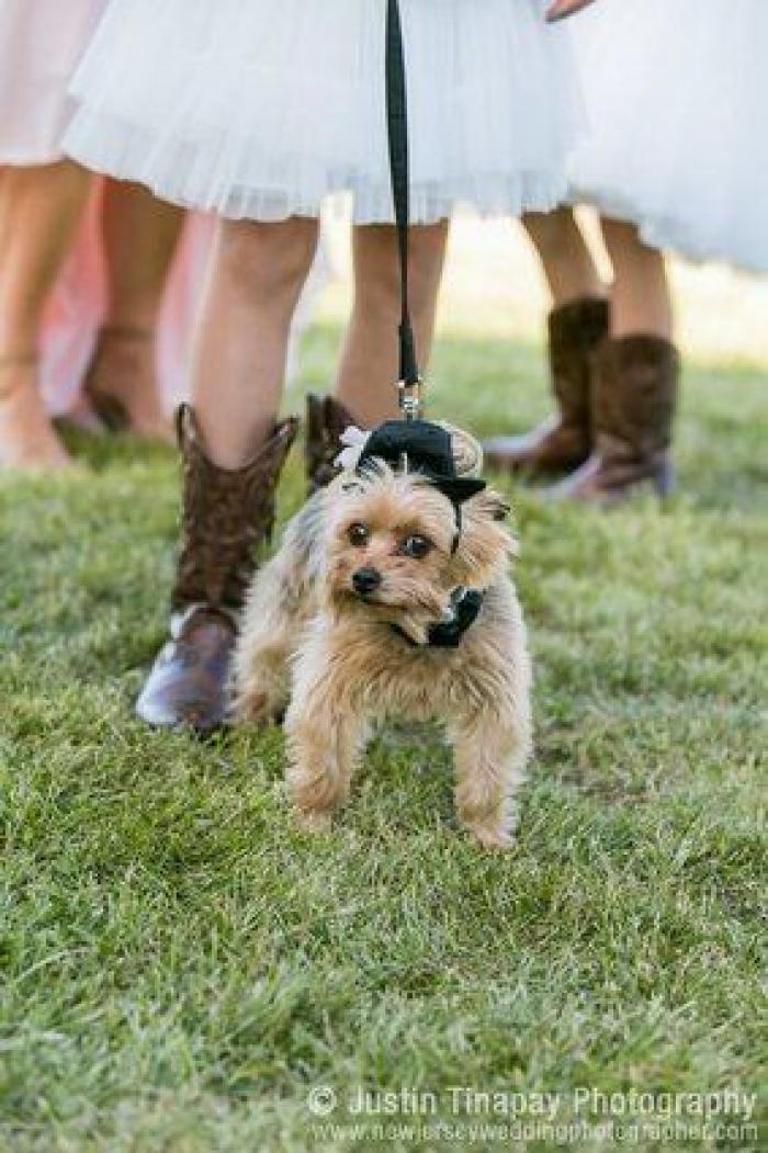 Cómo escribir un buen discurso de boda aunque no seas escritor