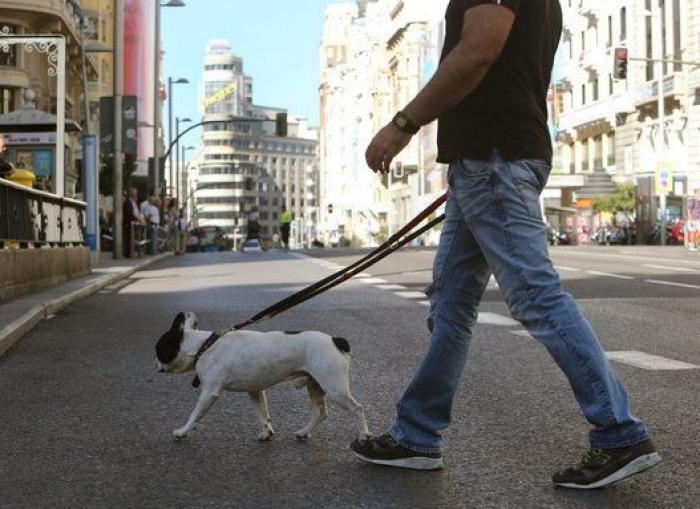 Ford llama a revisión unos 440.000 vehículos por problemas en Norteamérica