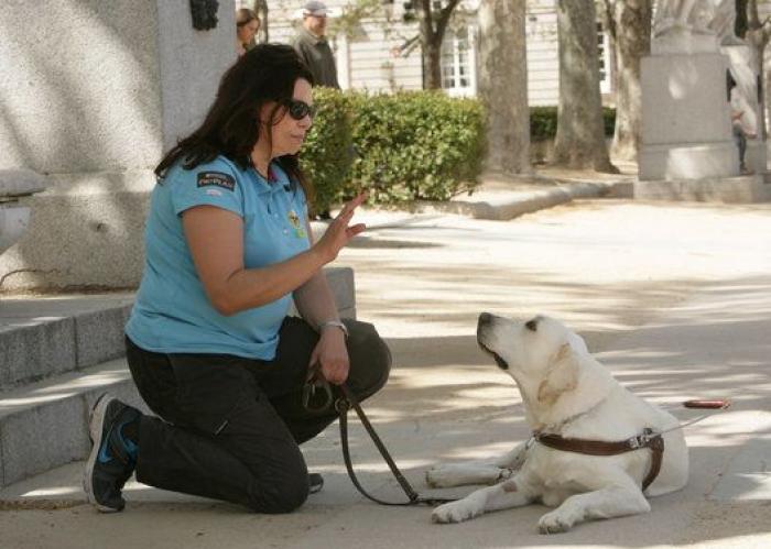 El medallista paralímpico español David Casinos emociona a todos con su mensaje tras perder a su perra guía