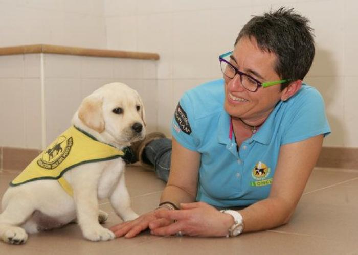 El medallista paralímpico español David Casinos emociona a todos con su mensaje tras perder a su perra guía