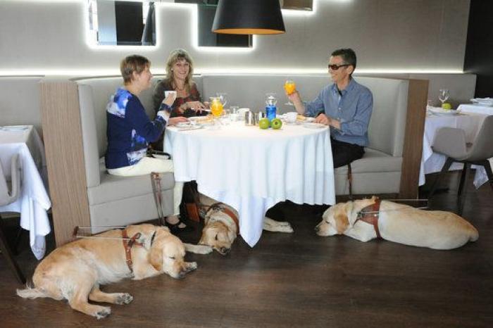 El medallista paralímpico español David Casinos emociona a todos con su mensaje tras perder a su perra guía