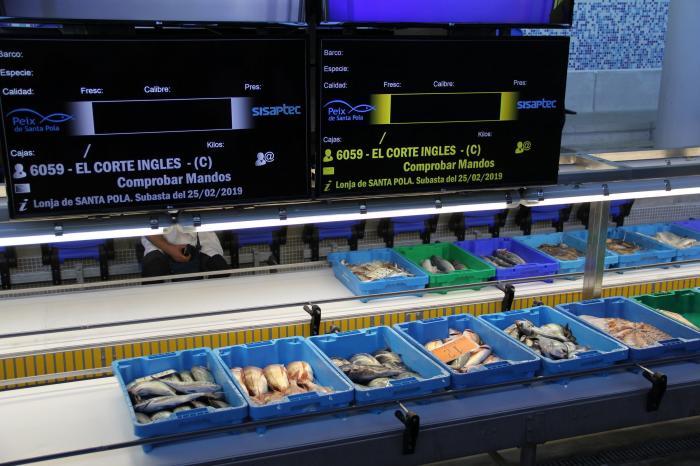 Esto es todo lo que pasa con los pescados que compras cada día antes de que lleguen al súper