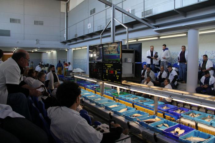 Esto es todo lo que pasa con los pescados que compras cada día antes de que lleguen al súper