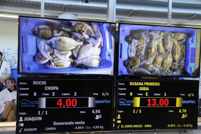 Esto es todo lo que pasa con los pescados que compras cada día antes de que lleguen al súper