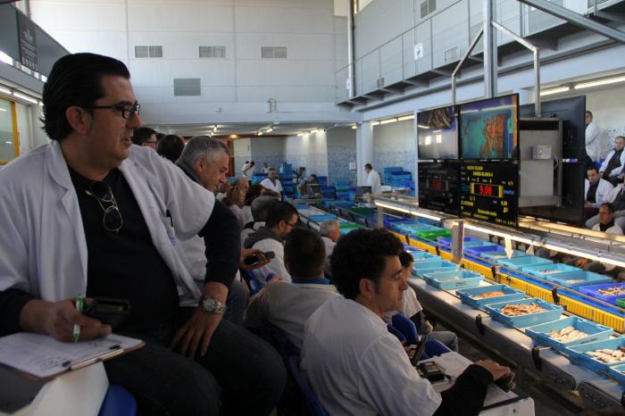 Esto es todo lo que pasa con los pescados que compras cada día antes de que lleguen al súper