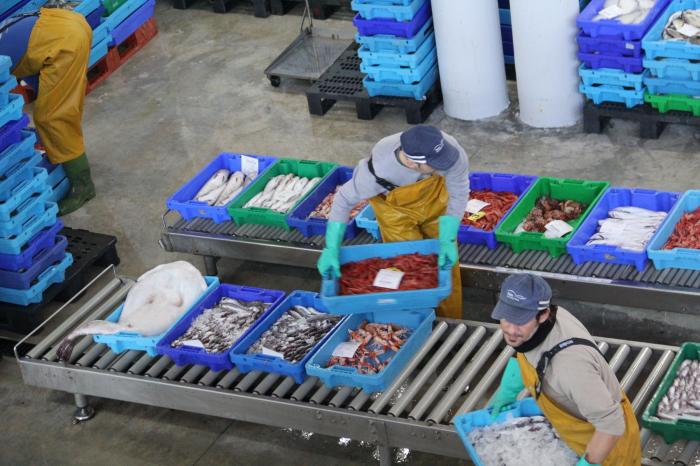 Esto es todo lo que pasa con los pescados que compras cada día antes de que lleguen al súper