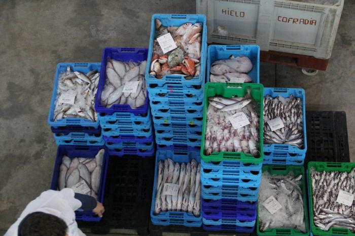 Esto es todo lo que pasa con los pescados que compras cada día antes de que lleguen al súper