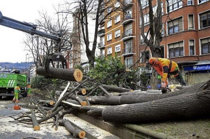El invierno ha llegado: varios frentes traen temperaturas bajo cero, lluvias abundantes y nevadas copiosas