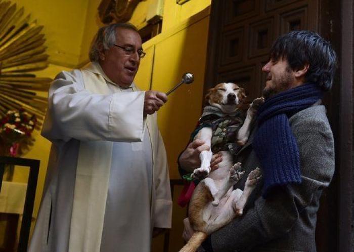 Un reportero de Telemadrid termina sangrando en directo tras ser atacado por un perro