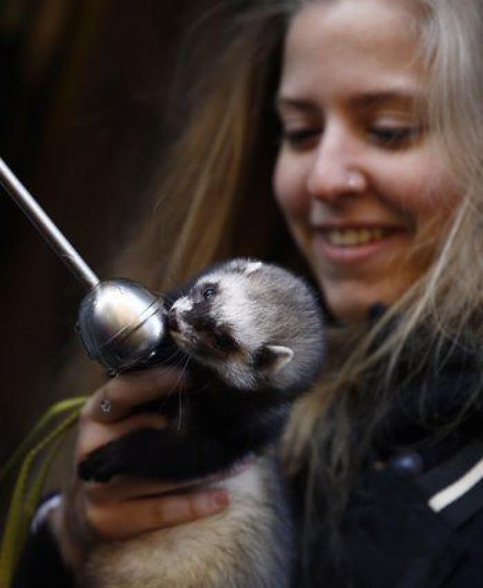 Un reportero de Telemadrid termina sangrando en directo tras ser atacado por un perro