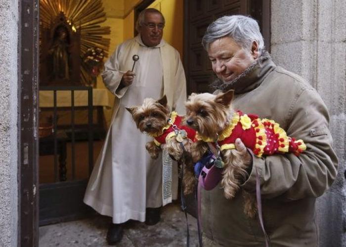 Un reportero de Telemadrid termina sangrando en directo tras ser atacado por un perro