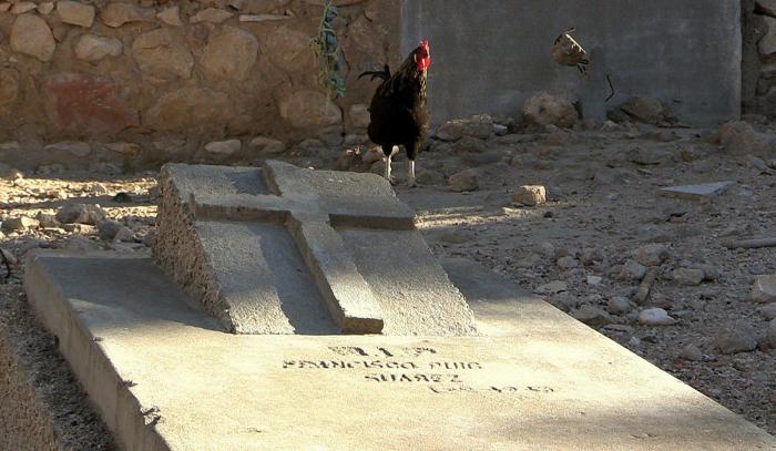El patio trasero de una casa de Túnez esconde un cementerio de soldados republicanos abandonados por la historia