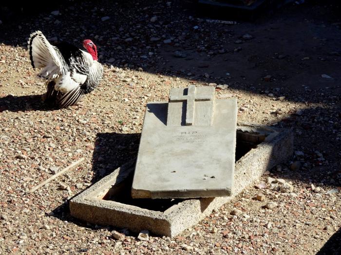 El patio trasero de una casa de Túnez esconde un cementerio de soldados republicanos abandonados por la historia