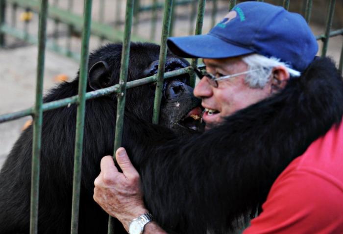 Operación Gallera: 182 detenidos, 103 gallos de pelea, cuchillas, espolones y drogas