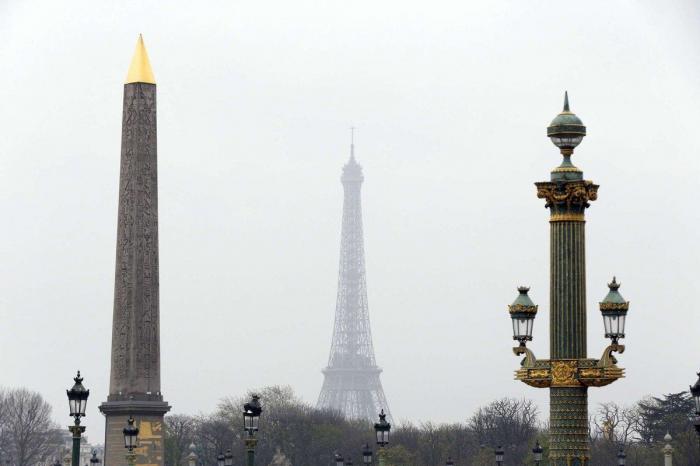 La imagen de un pez con un vaso de plástico en la tripa que remueve conciencias