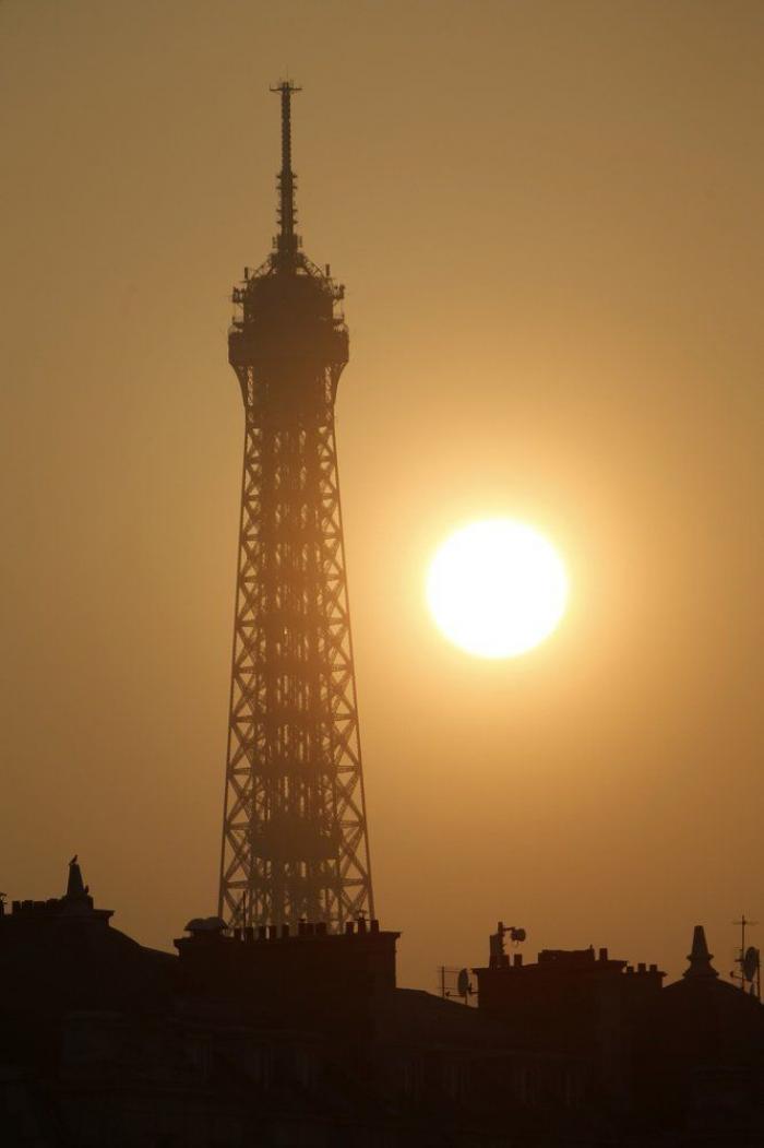 La imagen de un pez con un vaso de plástico en la tripa que remueve conciencias
