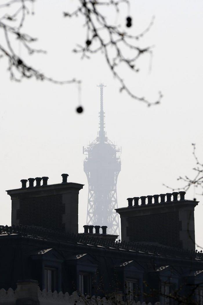 La imagen de un pez con un vaso de plástico en la tripa que remueve conciencias