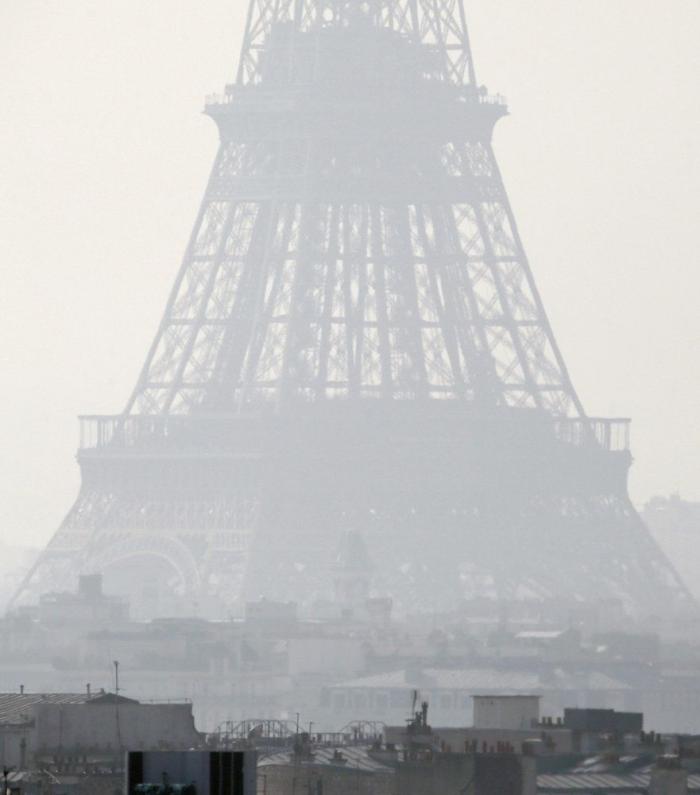 La imagen de un pez con un vaso de plástico en la tripa que remueve conciencias