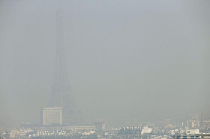 La imagen de un pez con un vaso de plástico en la tripa que remueve conciencias