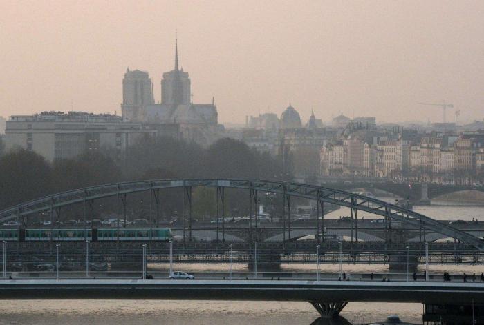 La imagen de un pez con un vaso de plástico en la tripa que remueve conciencias