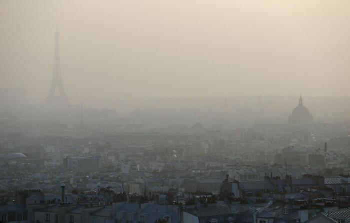 La imagen de un pez con un vaso de plástico en la tripa que remueve conciencias