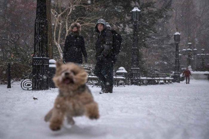 Una tormenta de nieve paraliza Nueva York (FOTOS)