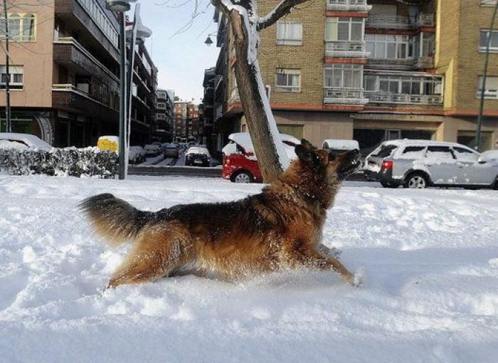 Nieve en España (FOTOS)