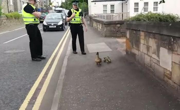 La Policía abandona su tono habitual para responder a este comentario