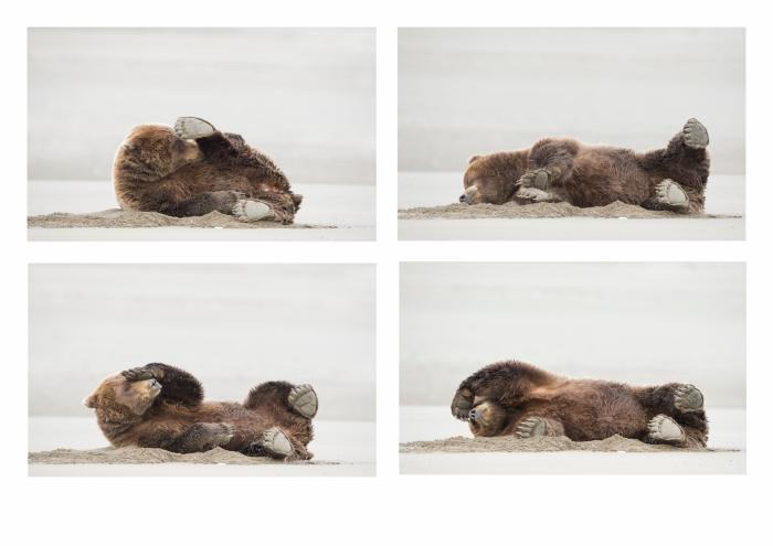 2020 ha sido un desastre para el planeta